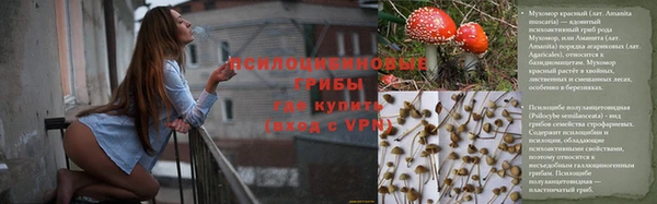 МДПВ Нефтегорск