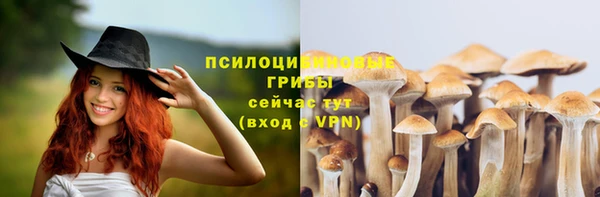 МДПВ Нефтегорск