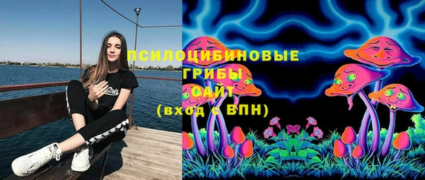 МДПВ Нефтегорск
