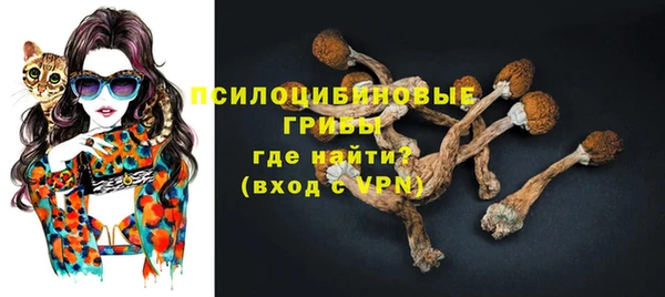 МДПВ Нефтегорск