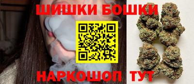 тгк Бийск