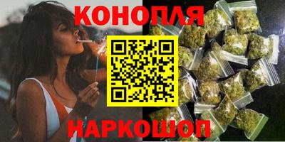 тгк Бийск