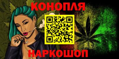 тгк Бийск