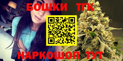 тгк Бийск