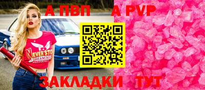 тгк Бийск