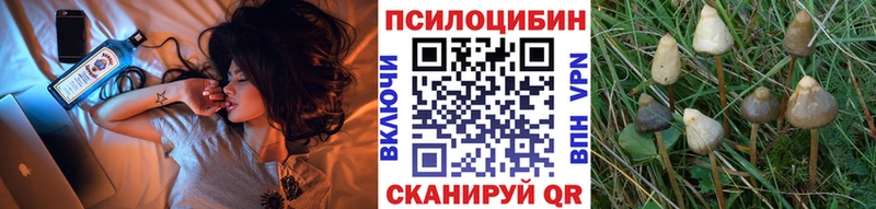 Галлюциногенные грибы прущие грибы  Корсаков 