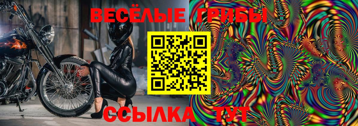 Галлюциногенные грибы Psilocybe  Вход с VPN  где продают   Корсаков 